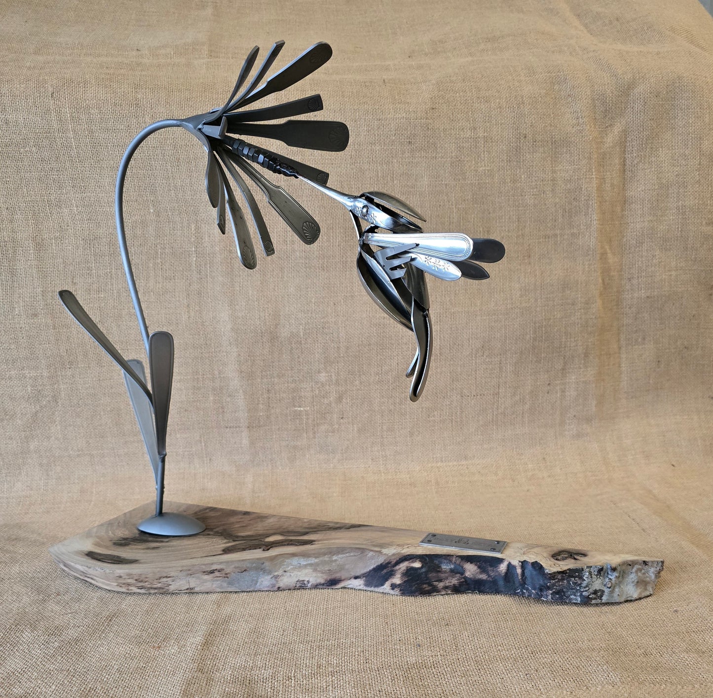 Le Colibri