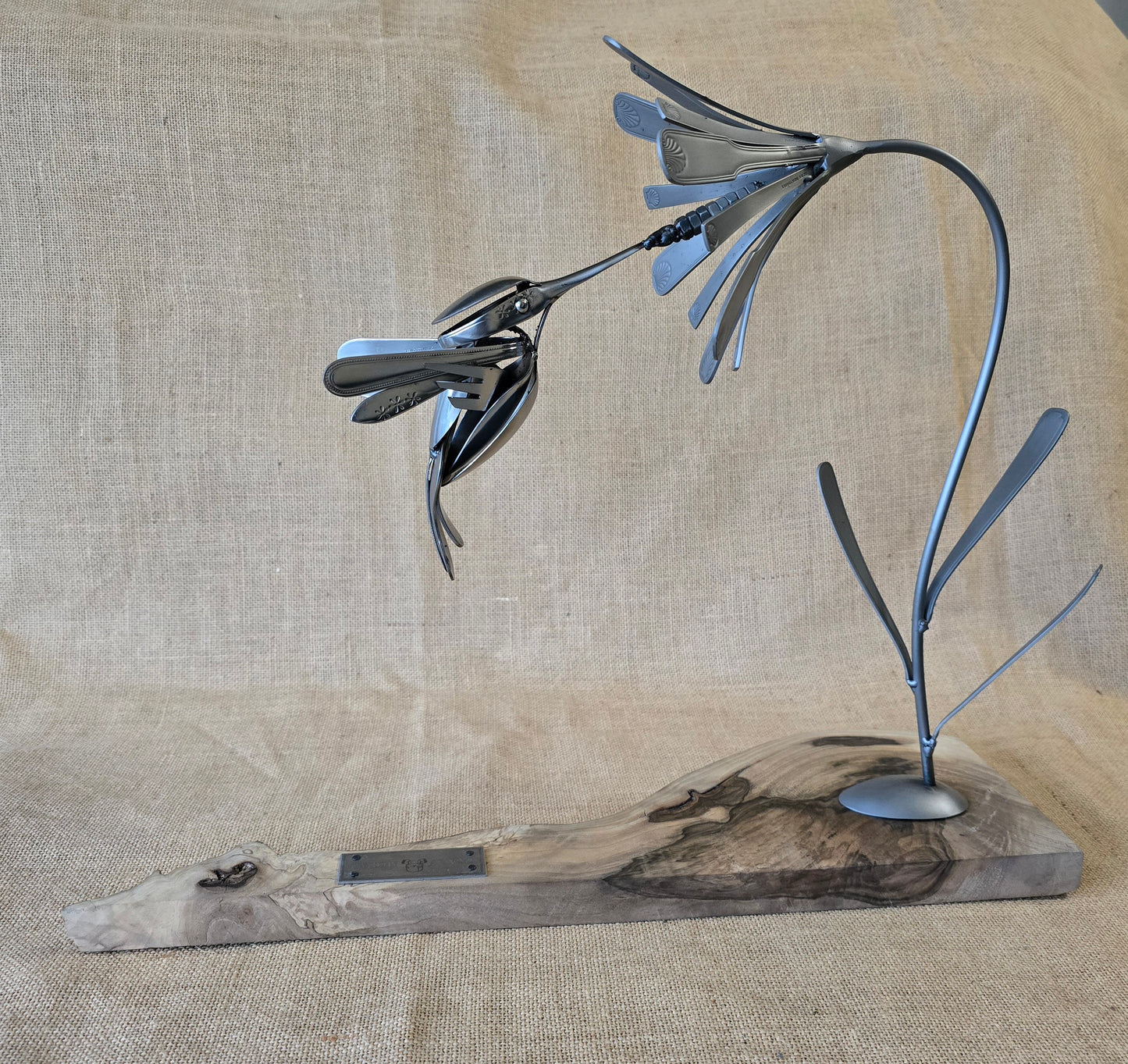 Le Colibri