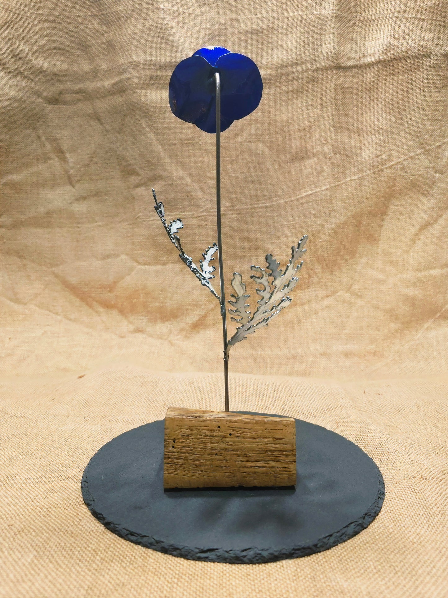 Beauté éphémère - Bleue