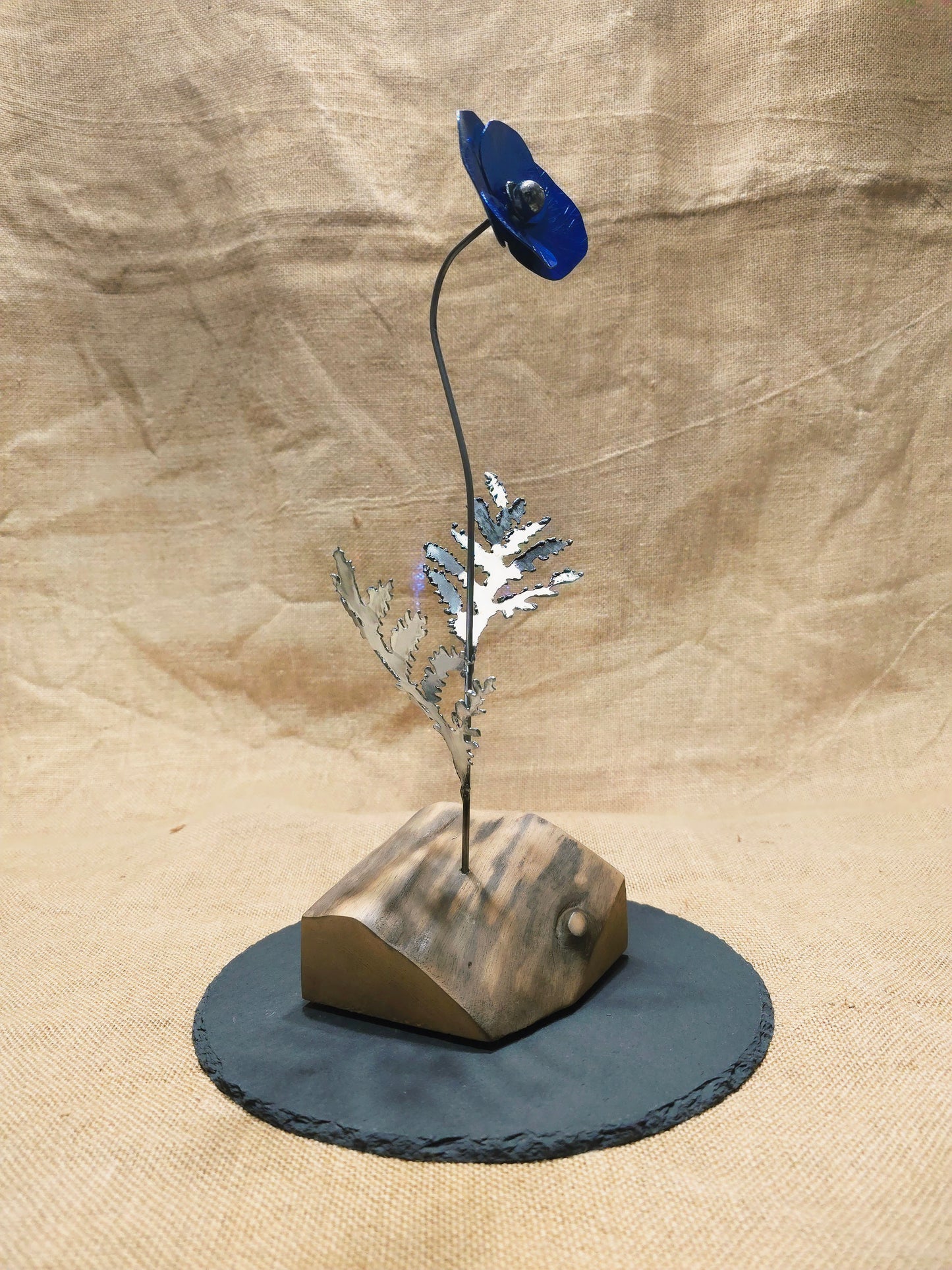 Beauté éphémère - Bleue