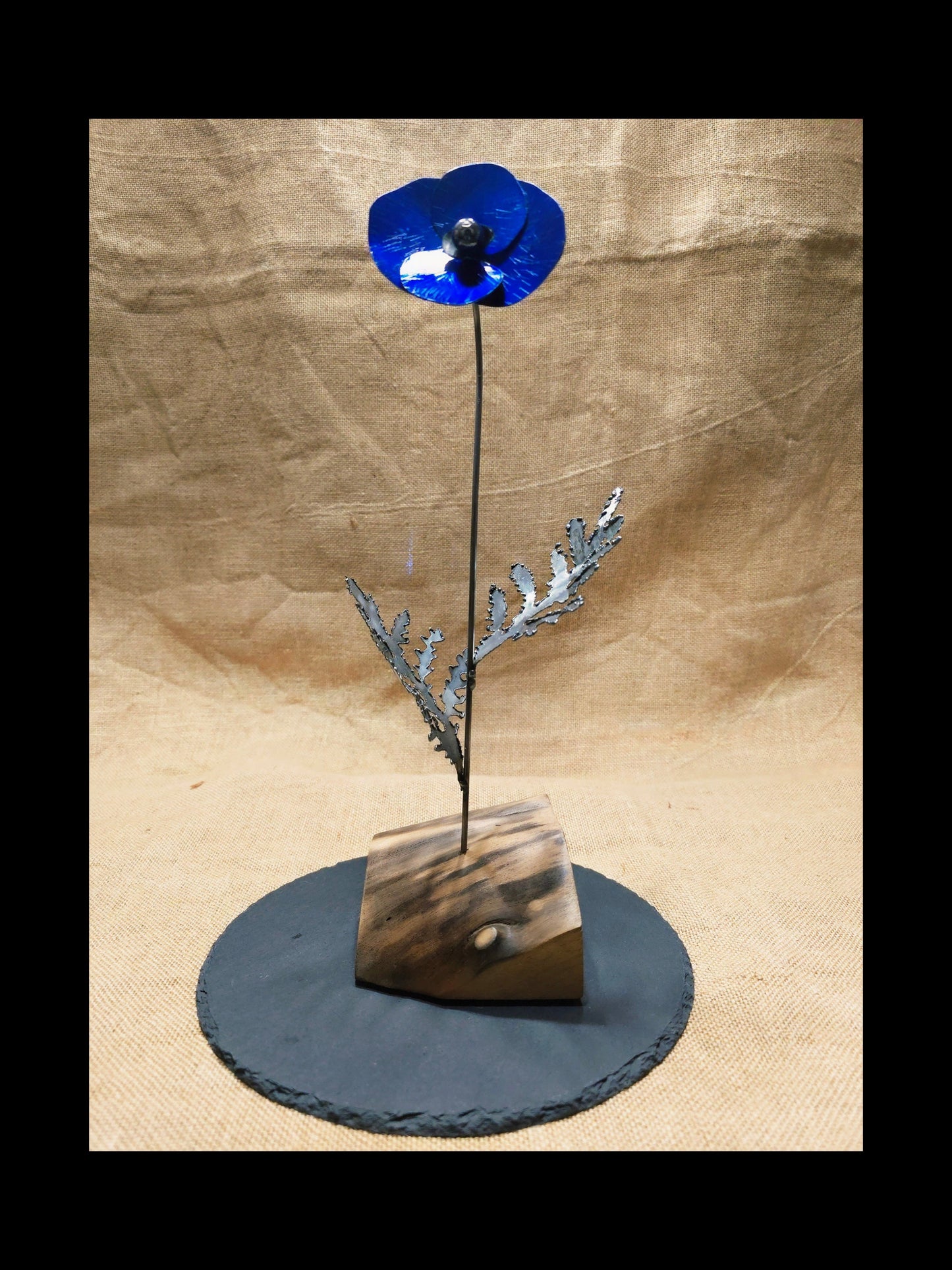 Beauté éphémère - Bleue