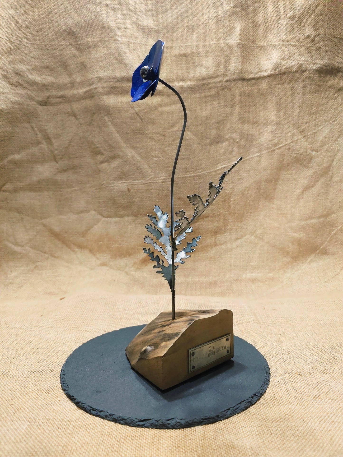 Beauté éphémère - Bleue