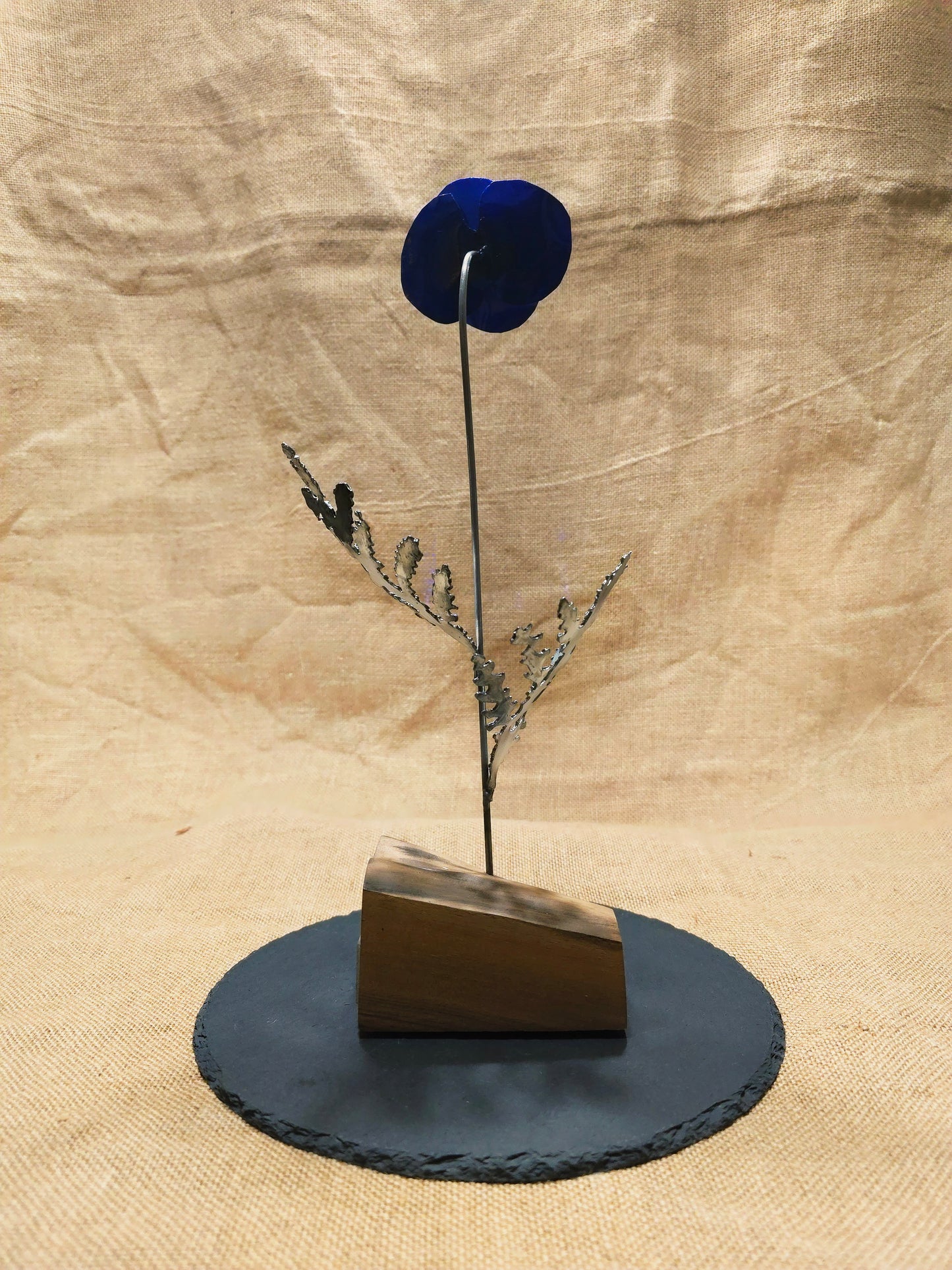 Beauté éphémère - Bleue