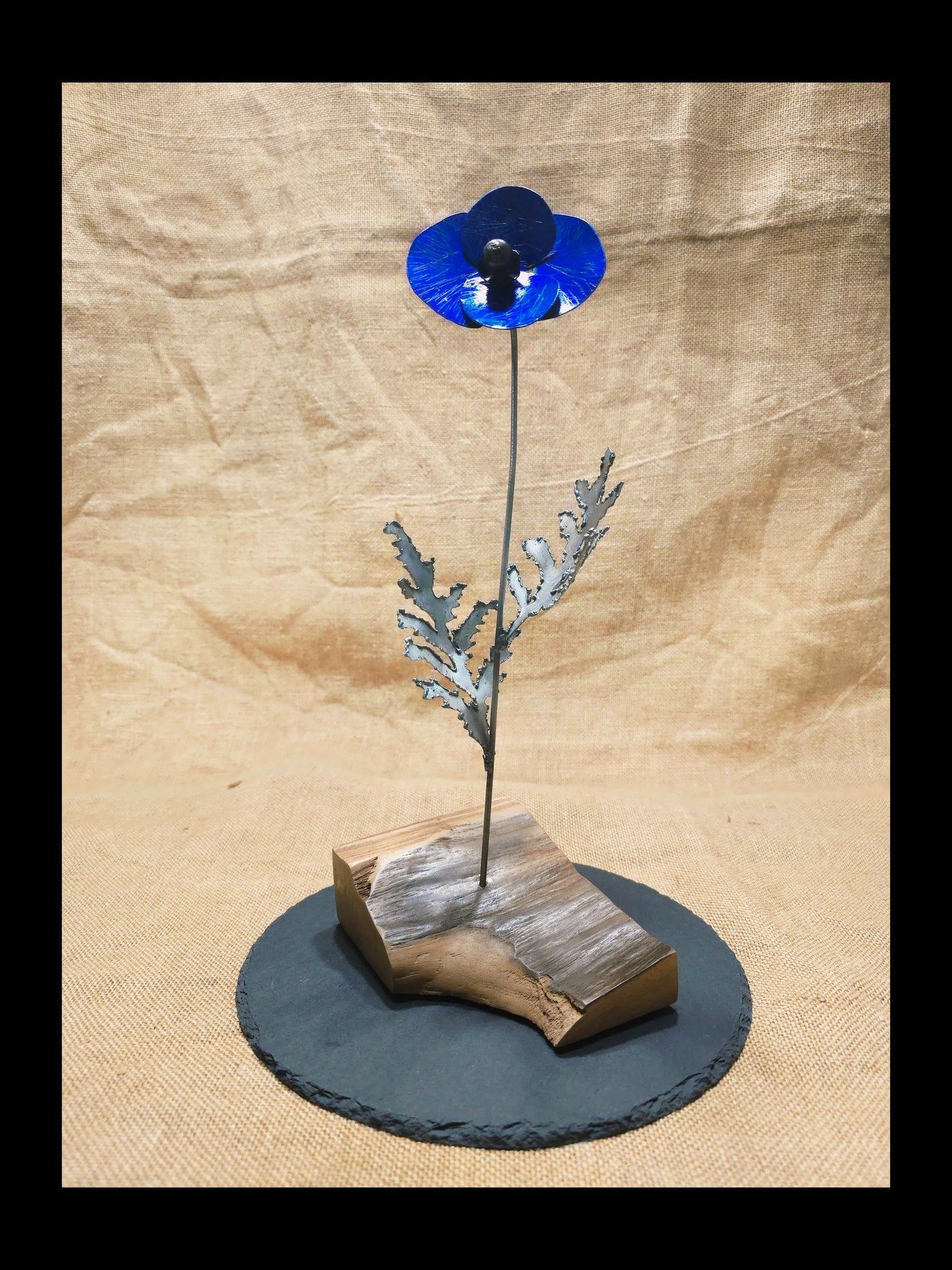 Beauté éphémère - Bleue