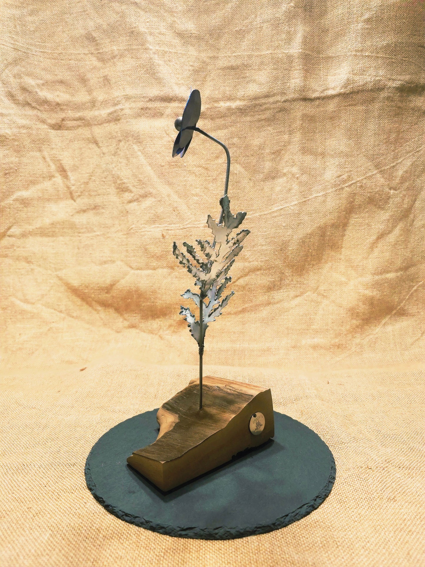 Beauté éphémère - Bleue