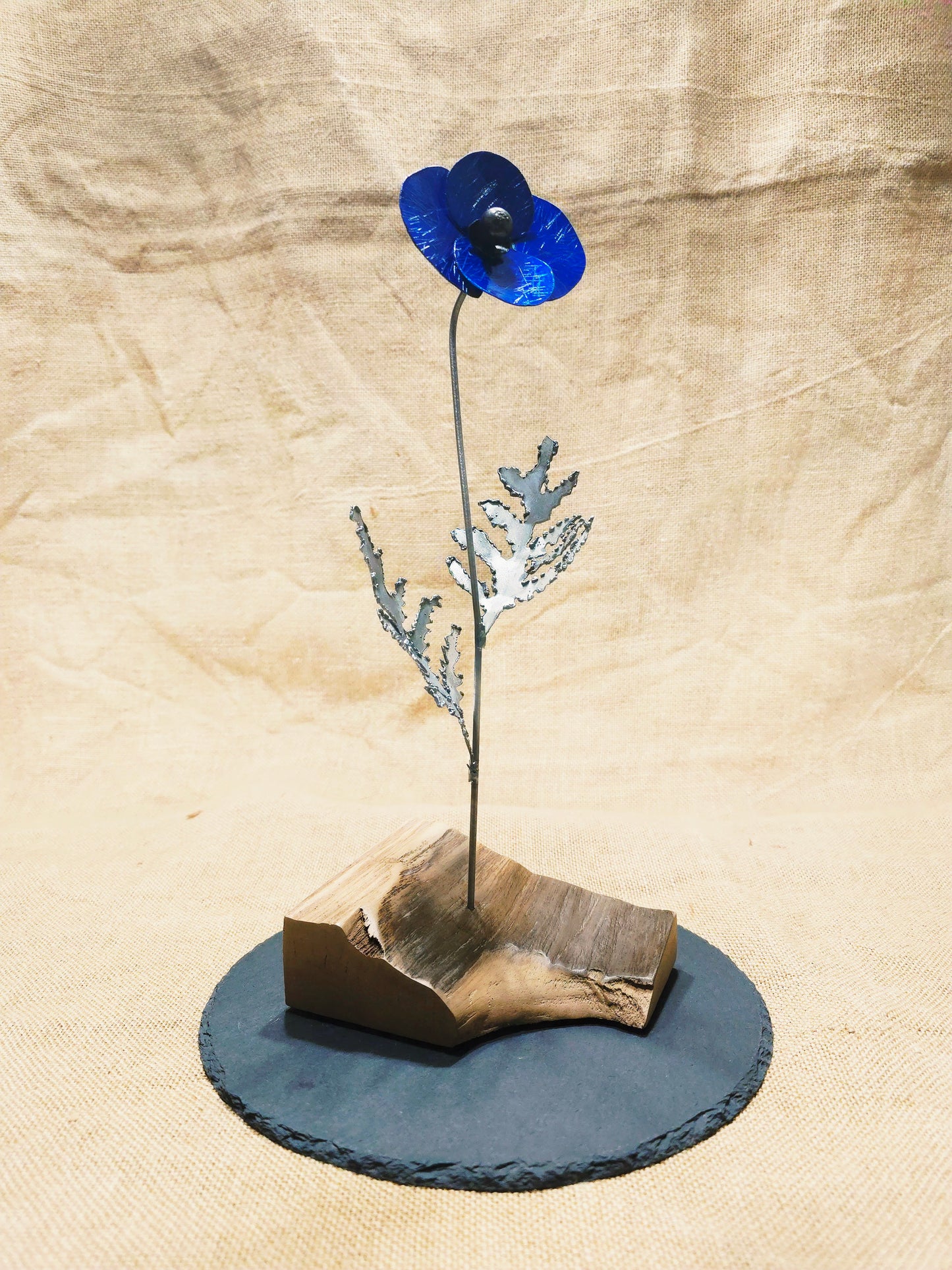 Beauté éphémère - Bleue