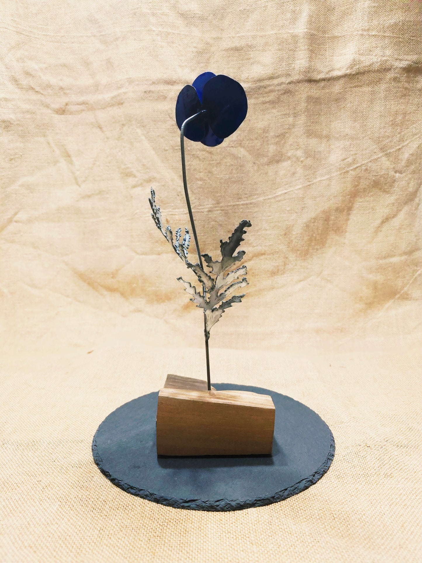 Beauté éphémère - Bleue