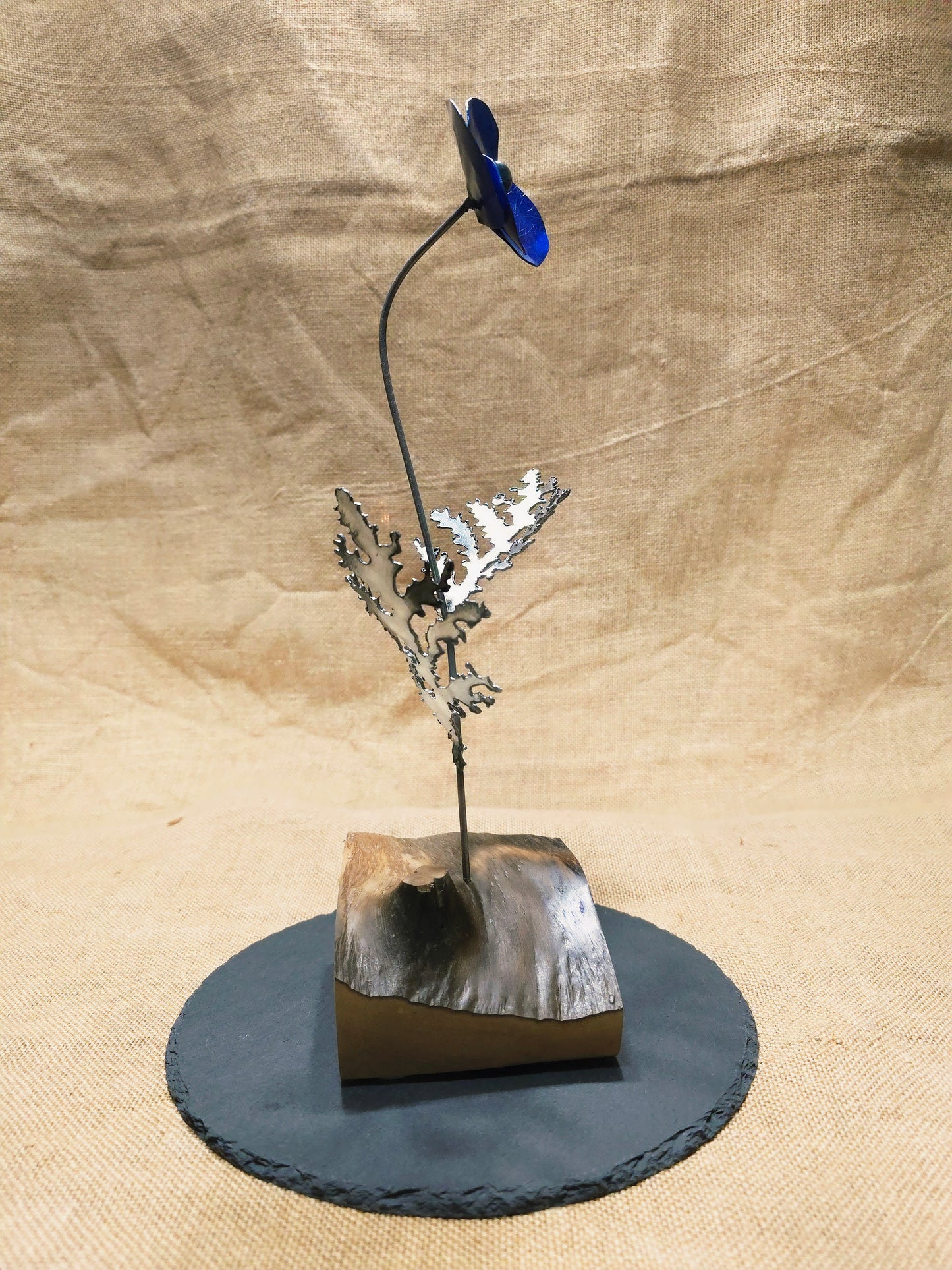 Beauté éphémère - Bleue