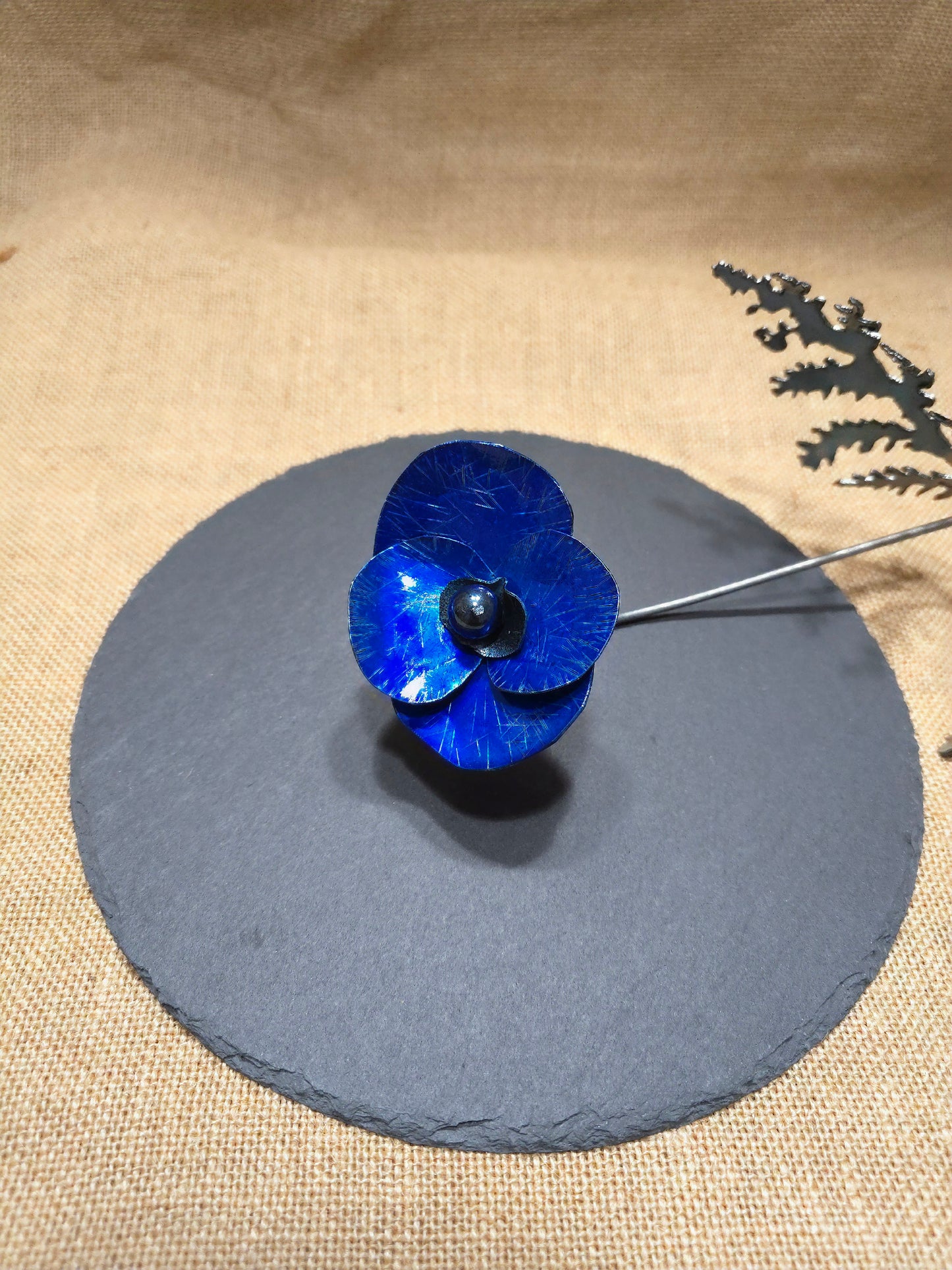 Beauté éphémère - Bleue